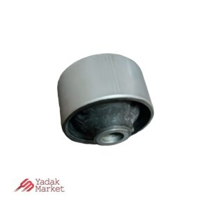 بوش طبق بزرگ جلو سانگ یانگ تیوولی