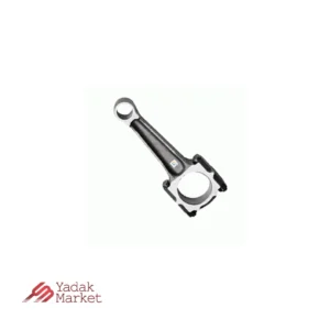 شاتون شاهین