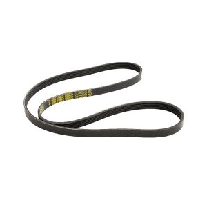 Alternator belt suitable for Ario