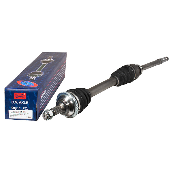 complete-right-abs-plus-rayo-code-r-053-suitable-for-peugeot-206-type-5 پلوس کامل راست ABS رایو RAYO کد R-053 مناسب برای پژو 206 تیپ 5